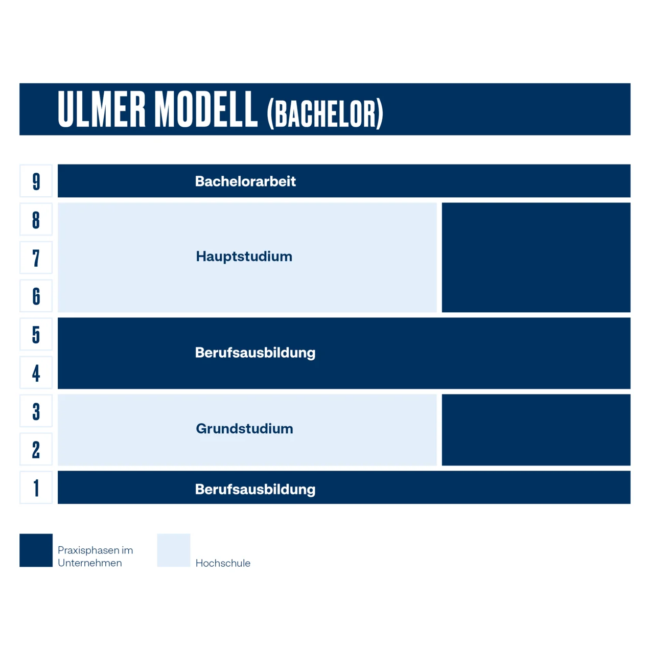 Study plan for studies according to the Ulm Model